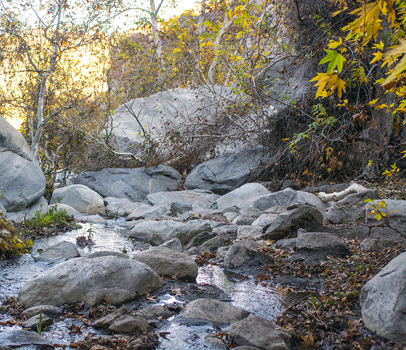 Tahquitz Canyon Water